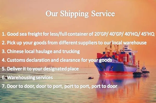 International Shipping Agent Service Forwarder Sea Freight From China to United States