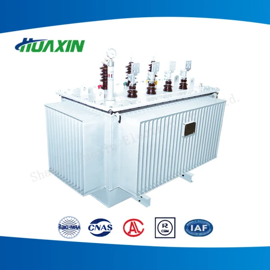 Low-Loss Oil-Immersed Load Capacity and Voltage Distribution Power Transformer